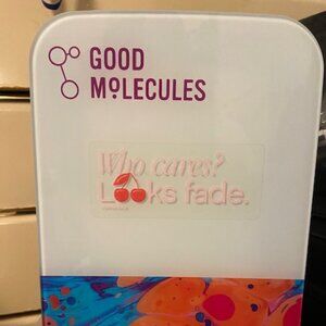 Skincare Mini-Fridge